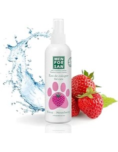 MENFORSAN EAU COLOGNE GATOS FRESA 125ML