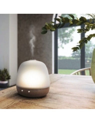 Comprar Pranarom Difusor Cera Linio Ultrasonico a precio online