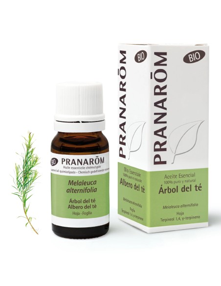 PRANAROM ACEITE ESENCIAL ARBOL DEL TE BIO  1 ENVASE 10 ML